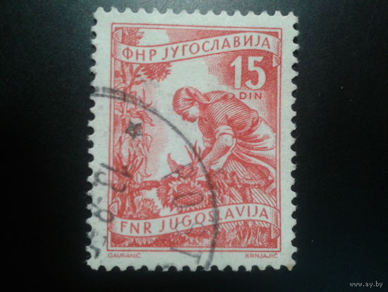 Югославия, 1951.Стандарт. Выращивание подсолнухов