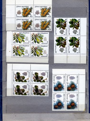 СССР, 1980, ОХРАНЯЕМЫЕ РАСТЕНИЯ , серия 5м,  в К/БЛОК, чистая**