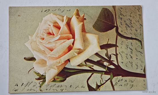 1908 год Либава Открытка