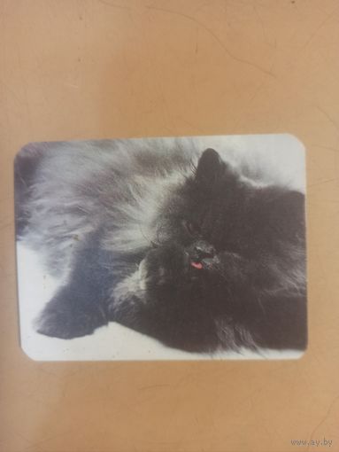 Календарь 1990 кошки/11