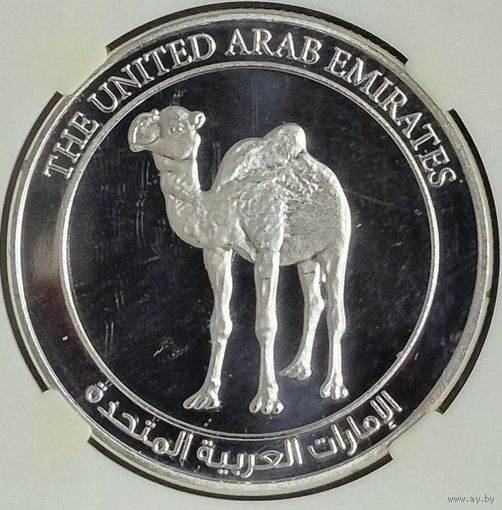 Жетон О.А.Э. башня Бурдж - Халифа в Дубае