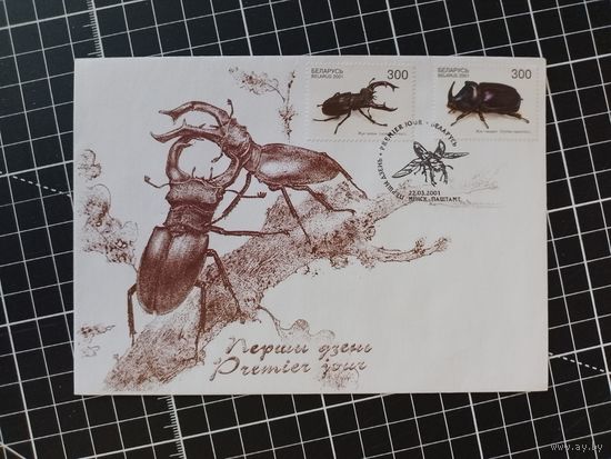 КПД. Беларусь. 2001. Жуки