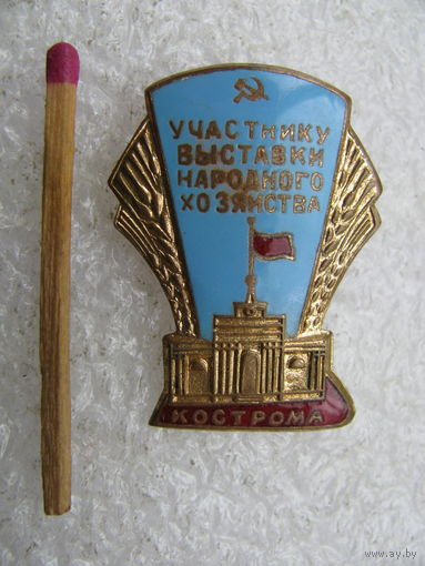 Знак. Участнику Выставки Народного Хозяйства, г. Кострома. тяжёлый