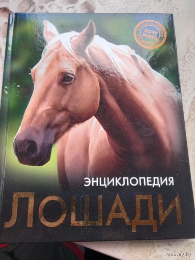Энциклопедия лошадей