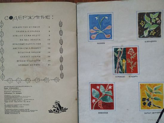 Б. Александров Лесная аптека. Изд. Малыш 1966