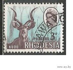 Родезия. Антилопа Большой Куду. 1966г. Mi#26.