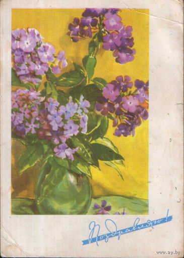 Подписанная открытка 1965г. "Флоксы" худ. Е. Голяховский