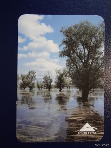 Календарик 2003 г.  Белгосстрах. Разлив реки.