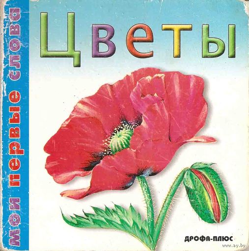 Цветы.