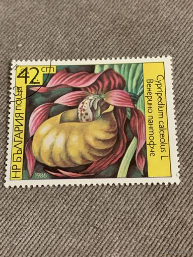 Болгария 1986. Цветы. Cypripedium calceolus. Марка из серии