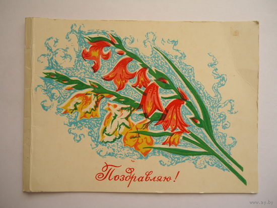 Поздравляю.Редкая.Пинская типография.