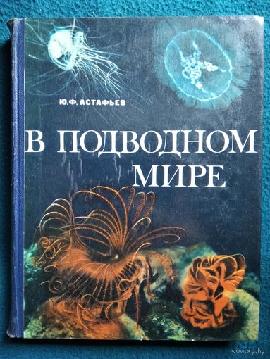 Ю.Ф. Астафьев В подводном мире