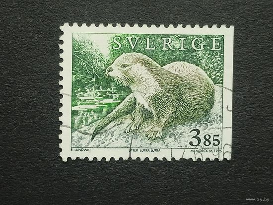 Швеция 1996. Дикие животные
