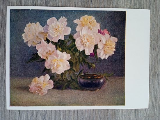 1958. Максимов. Пионы