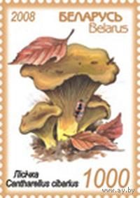 Марки "Лисичка", "Боровик"