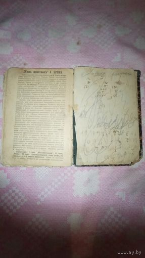 Суворов. биографический очерк