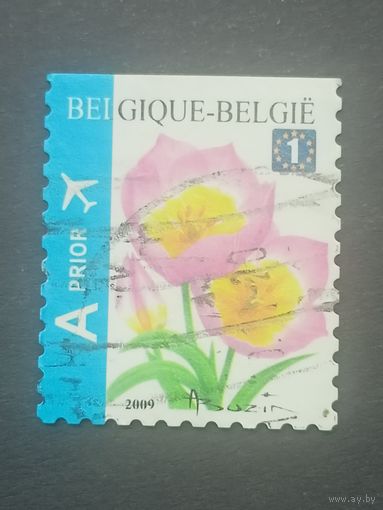 Бельгия 2005. Цветы