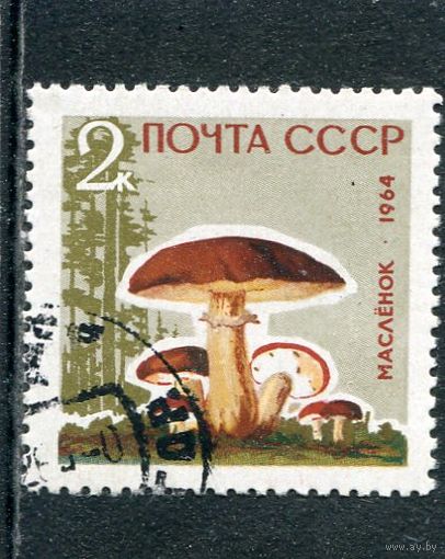 СССР 1964.. Гриб масленок