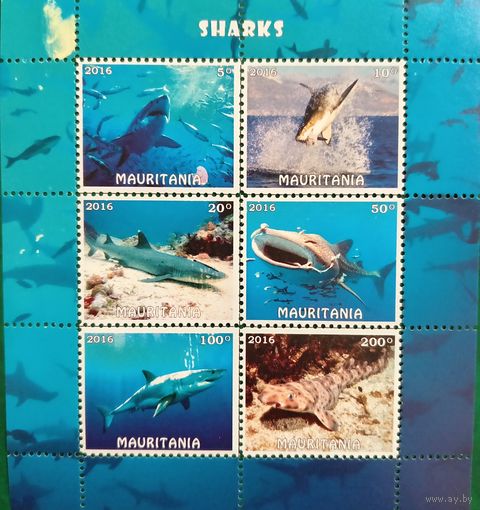 Мавритания 2016. Фауна. Акулы. Малый лист