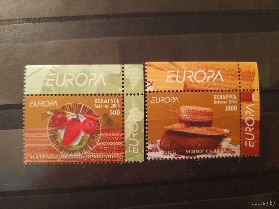 Беларусь 2005 европа