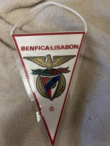 Вымпел Бенфика