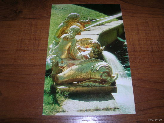 Петродворец Фонтан Сирены чистая