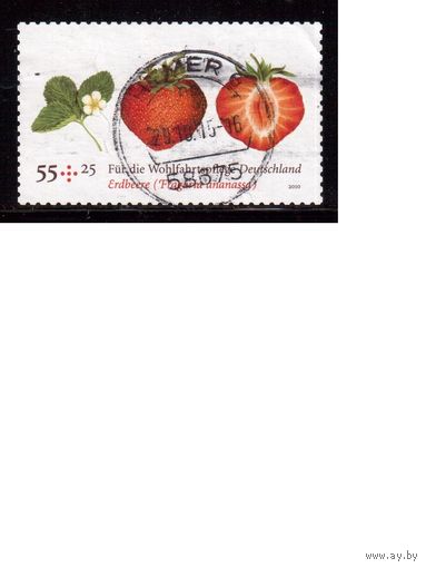 Германия-2010 (Мих.) ,  гаш.  , Флора, Ягоды