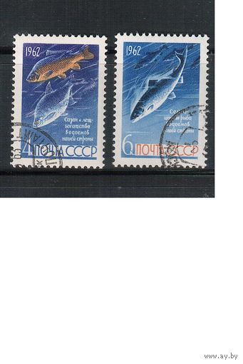 СССР-1962 (Заг.2645-2646) гаш., Рыбы(полная серия)(на фото образец, остальные не хуже)