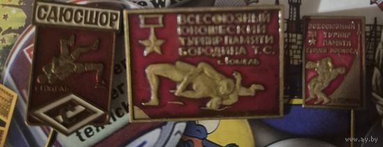 3 значка Борьба Гомель одним лотом все три