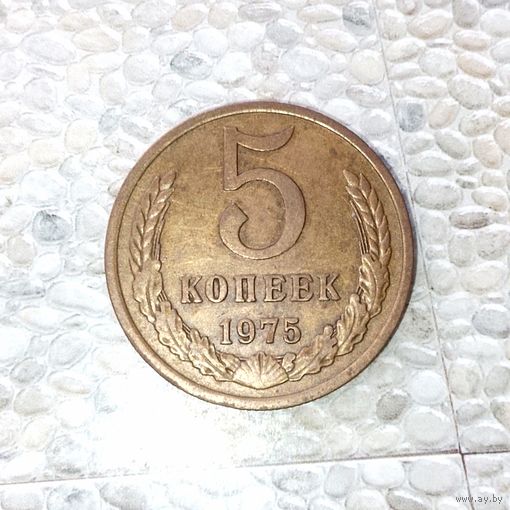 5 копеек 1975 года СССР. Достойный сохран! Родная патина!