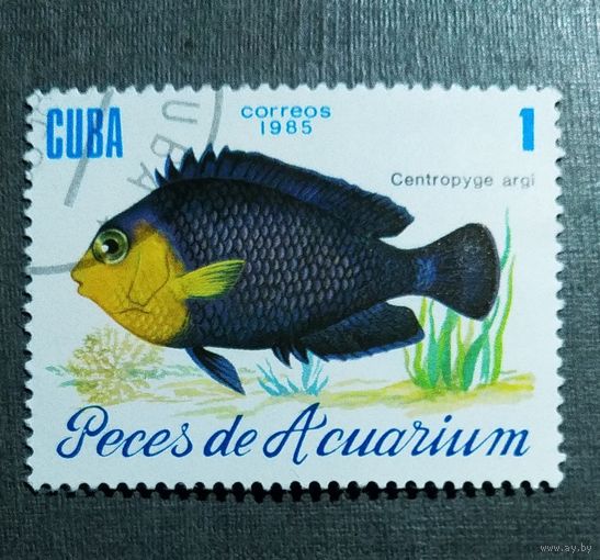 Марка Куба 1985 год Рыба
