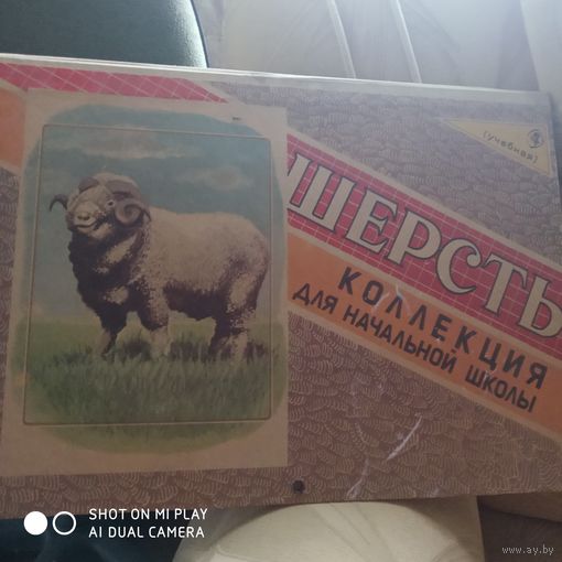 Шерсть. Коллекция для начальной школы. /Д
