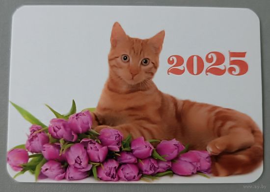 Кот. Календарик, 2025, глянец