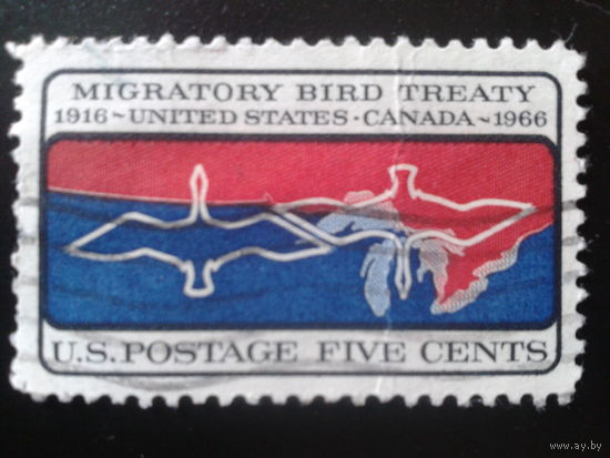 США 1966 перелетные птицы