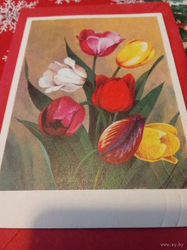 Открытка 1976г. Подписана.