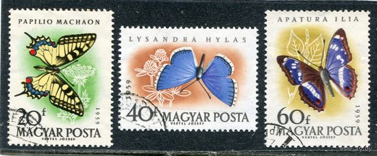 Венгрия. Бабочки