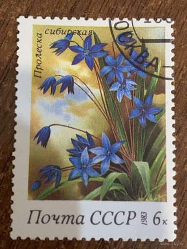 СССР 1983. Пролеска Сибирская. Марка из серии