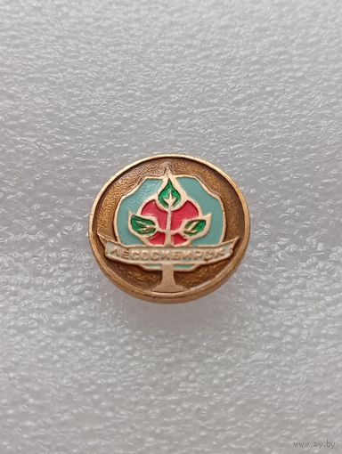 Лесосибирск.