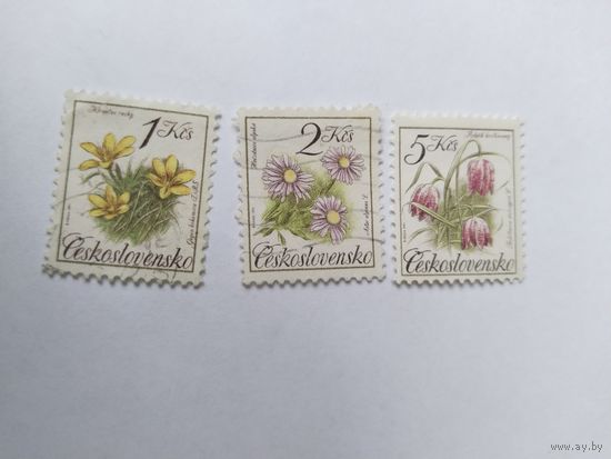 ЧССР  1991 3м цветы