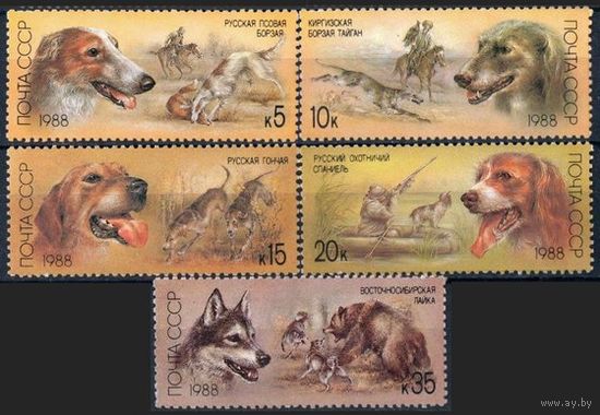 Марки СССР 1988 год. 5945-5949. Породы охотничьих собак. 5945-5949. Полная серия из 5 марок.