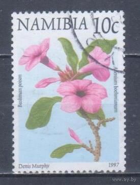 [352] Намибия 1997. Флора.Цветы. Гашеная марка.