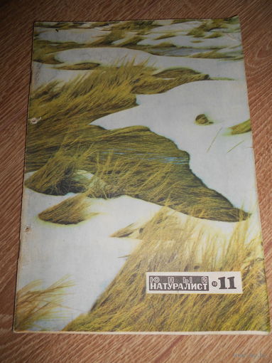Юный натуралист 11/1970