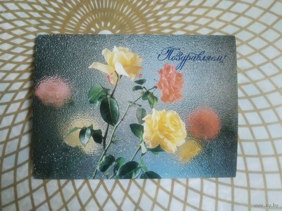 Открытка СССР 1987 год.   Чистая. Д.Киндрова. Состояние на скане.