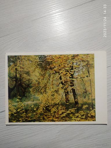 Открытка "Живопись"