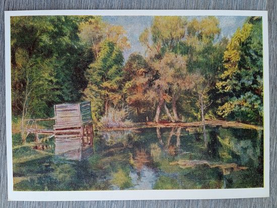 1953. Ванециан. Ясная Поляна. Средний пруд и купальня