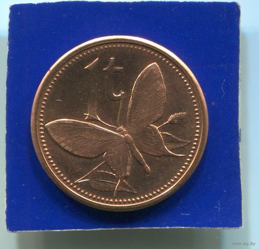 Папуа Новая Гвинея 1 тойя 2004 UNC