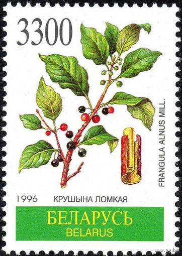 Лекарственные растения Беларусь 1996 год 1 марка