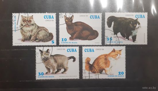 Куба. 1994 год. Фауна. Кошки (744)