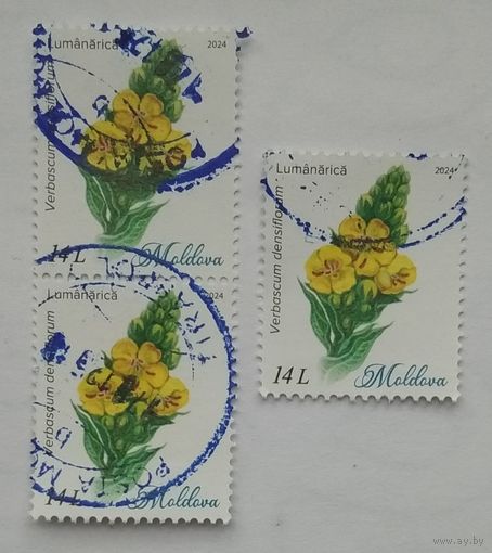 Марка Молдова 2024 г. Цена за 1 шт.