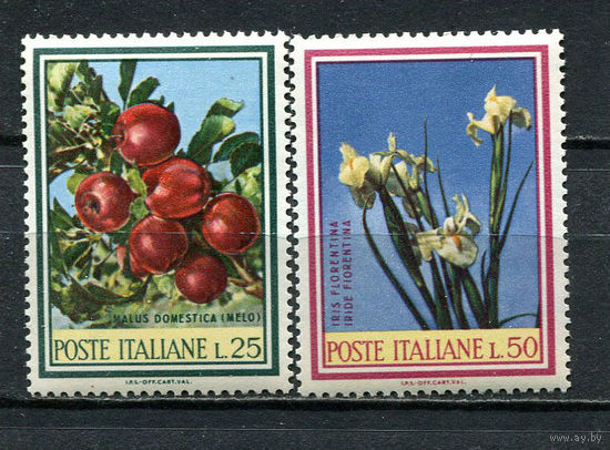 Италия - 1967 - Флора - [Mi. 1247-1248] - полная серия - 2 марки. MNH.  (Лот 50Gx)-T4P26